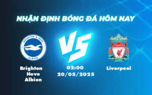 brighton hove albion liverpool 20 05 ngoai hang anh