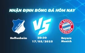 hoffenheim bayern munich 17 05 bundesliga